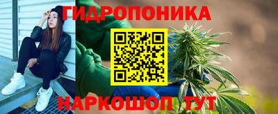 молекула духа Будённовск